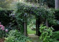 evenementfoto, Open Tuin Pokertuin