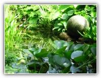 evenementfoto, Open Tuin De Watertuin